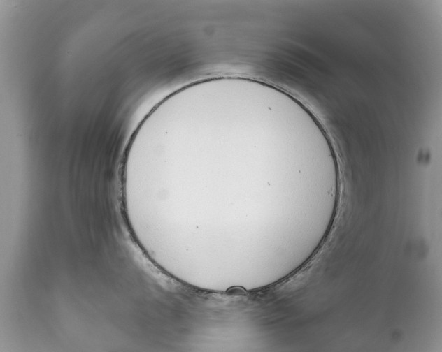 X0000111921056200908171320