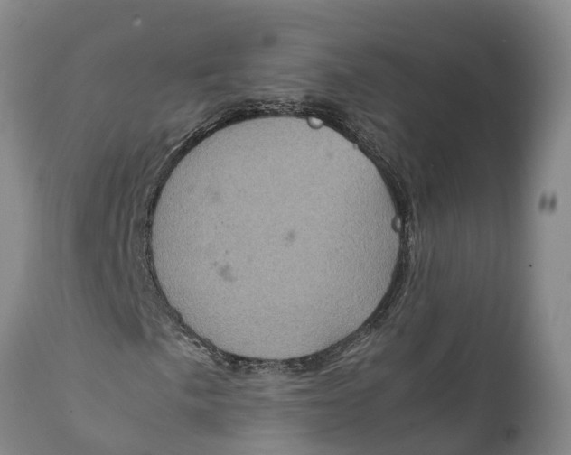 X0000111921057200908171319