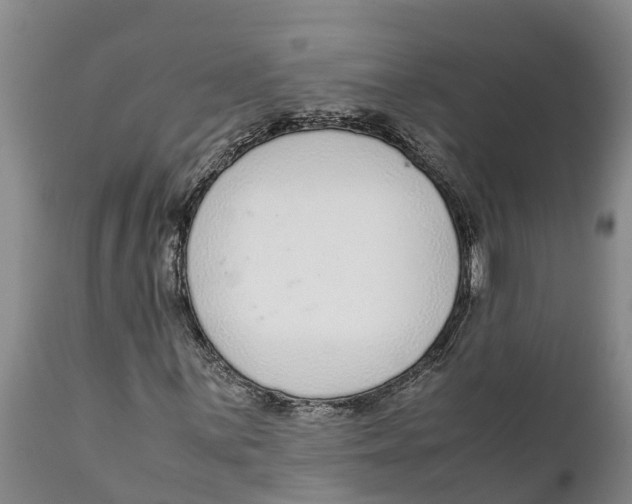 X0000111921059200908171319