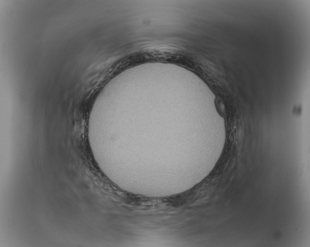 X0000111921061200908171319