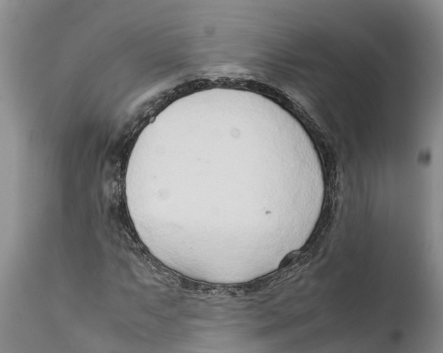 X0000111921063200908171319