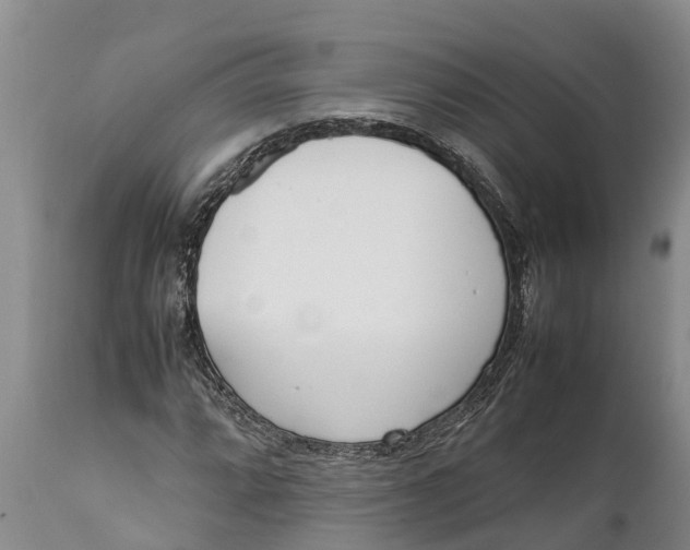 X0000111921064200908171319