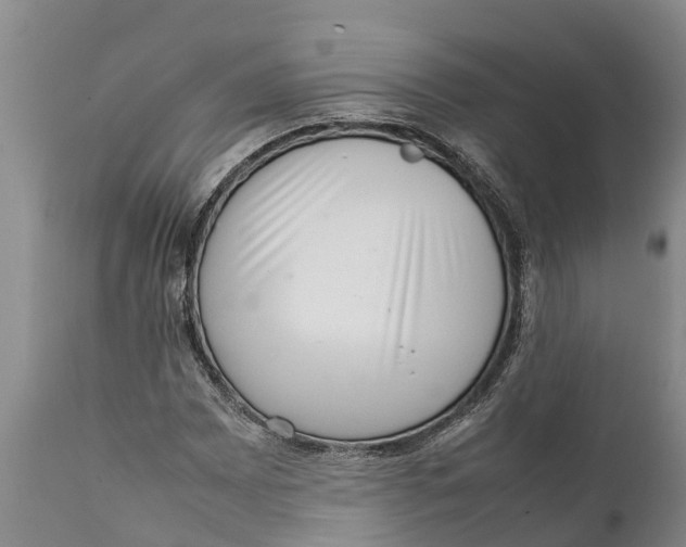 X0000111921065200908171319