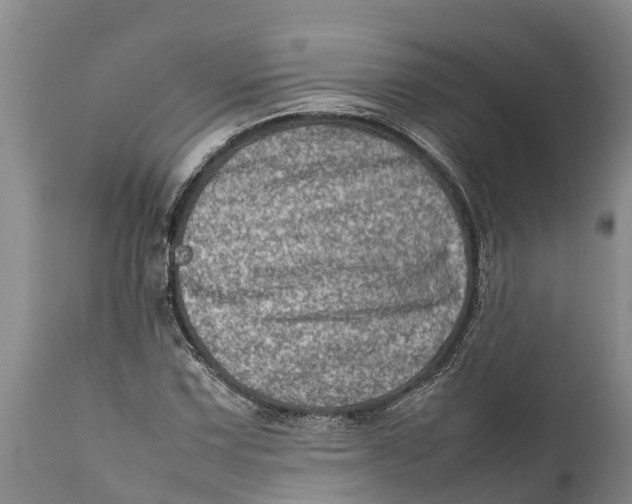 X0000111921067200908171319