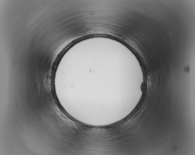 X0000111921068200908171319