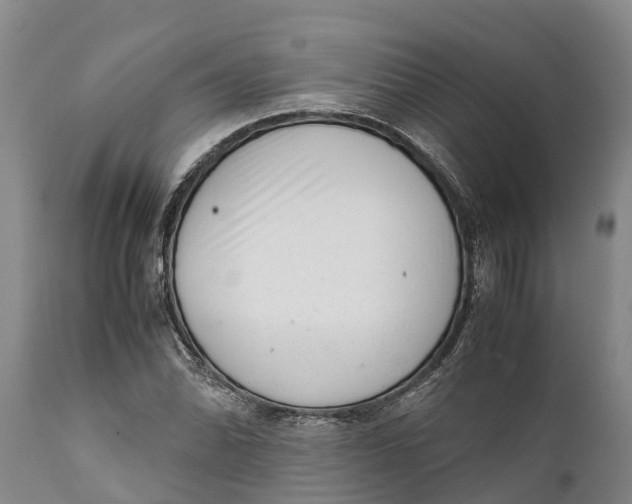 X0000111921070200908171319