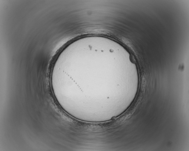 X0000111921071200908171319