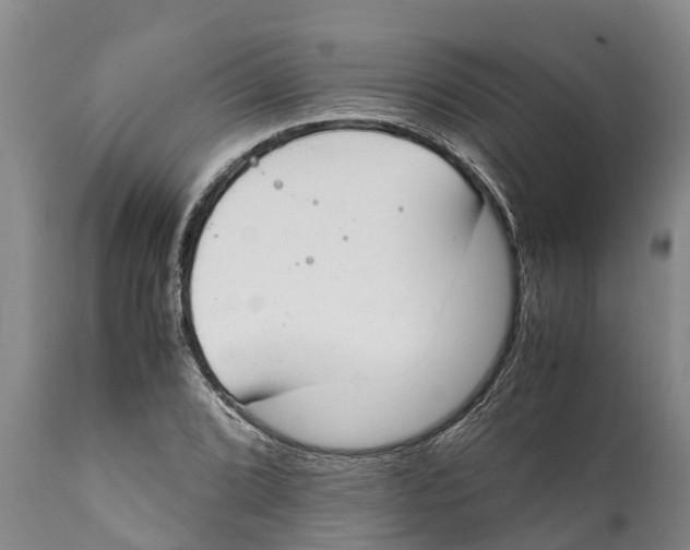 X0000111921072200908171319