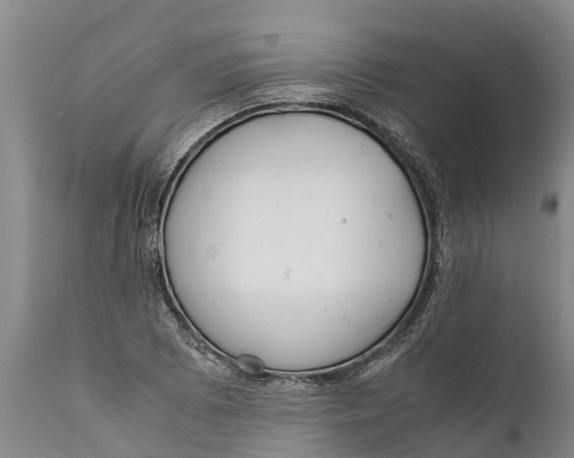 X0000111921073200908171319