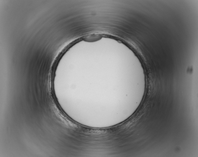 X0000111921076200908171319