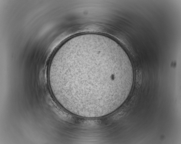 X0000111921078200908171319