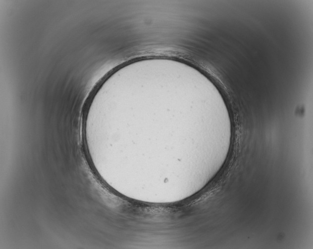 X0000111921079200908171319