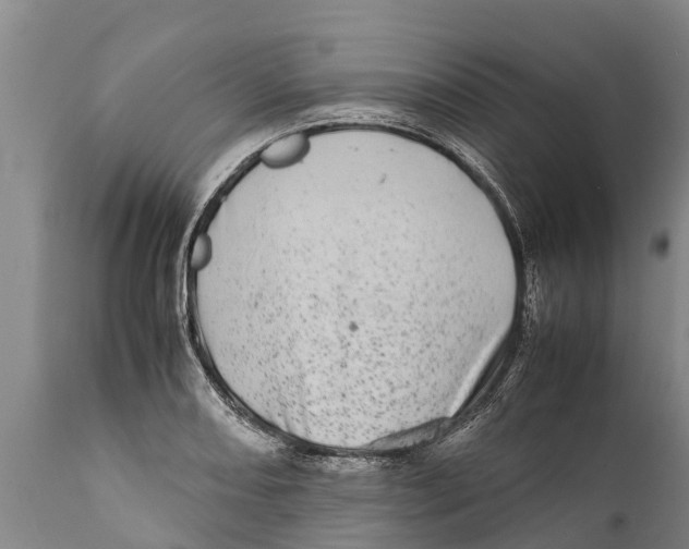 X0000111921082200908171319