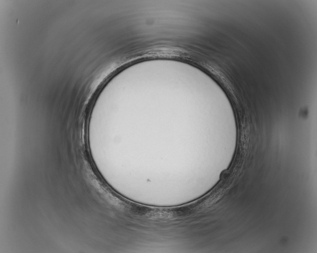 X0000111921083200908171319