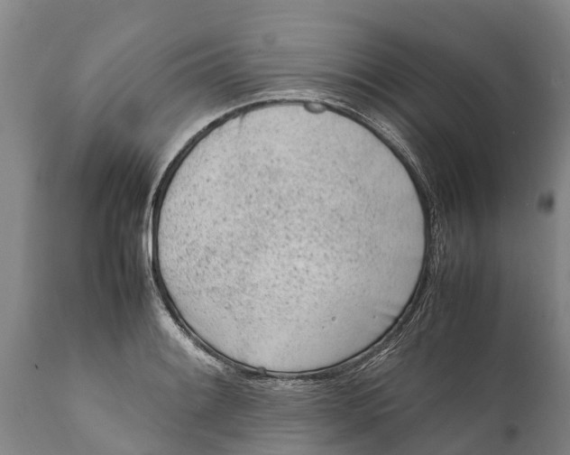 X0000111921084200908171319