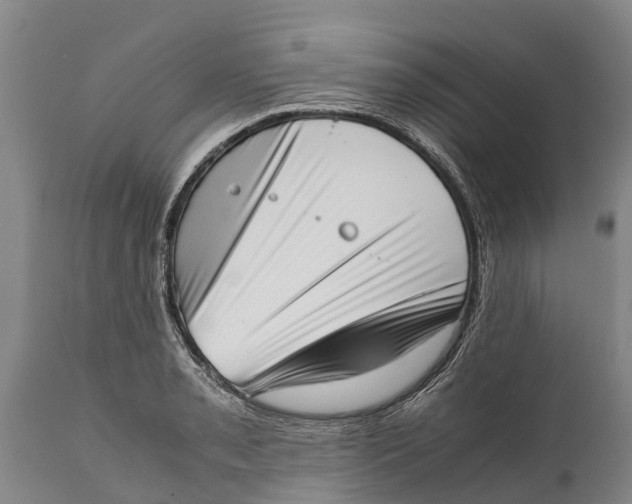 X0000111921085200908171319