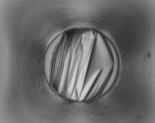 X0000111921089200908171318