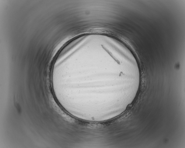 X0000111921091200908171318