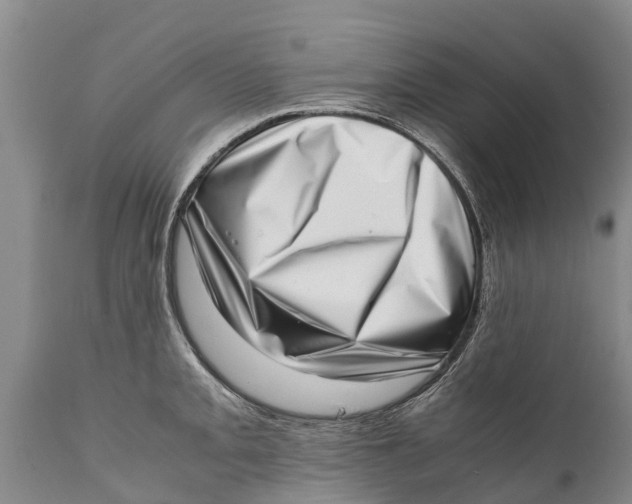 X0000111921093200908171318