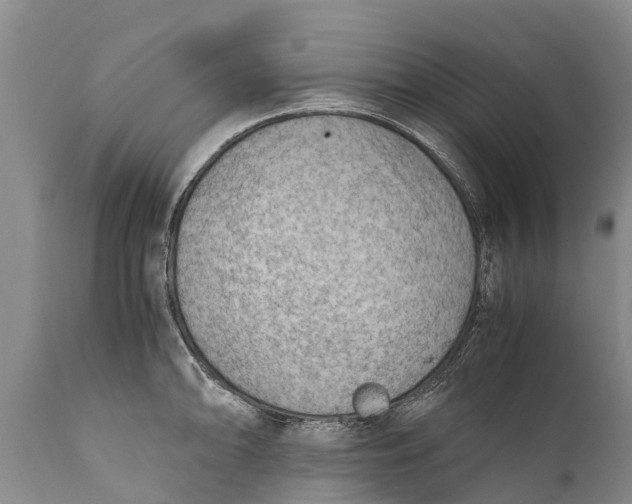 X0000111921094200908171318