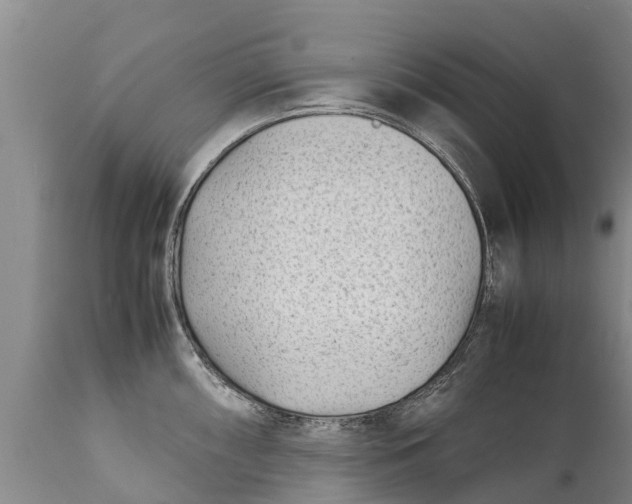 X0000111921098200908171318