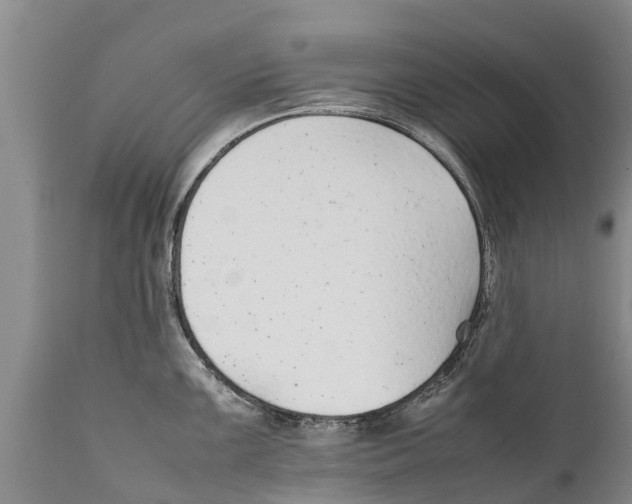 X0000111921099200908171318