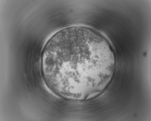 X0000111921100200908171318