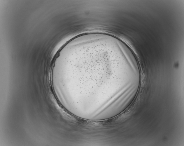 X0000111921101200908171318