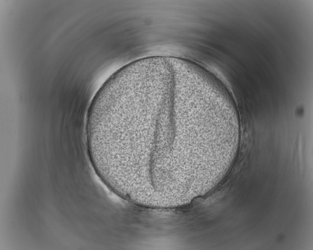 X0000111921103200908171318