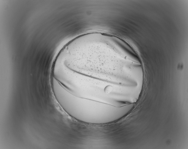 X0000111921104200908171318