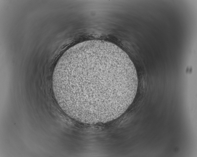 X0000111921105200908171318