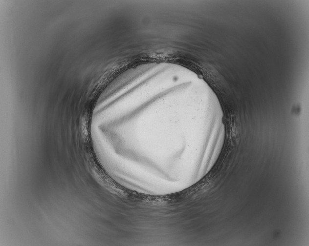 X0000111921106200908171318