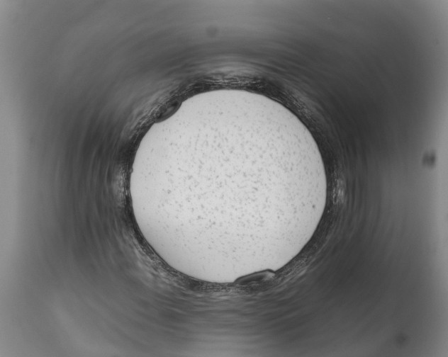 X0000111921108200908171318