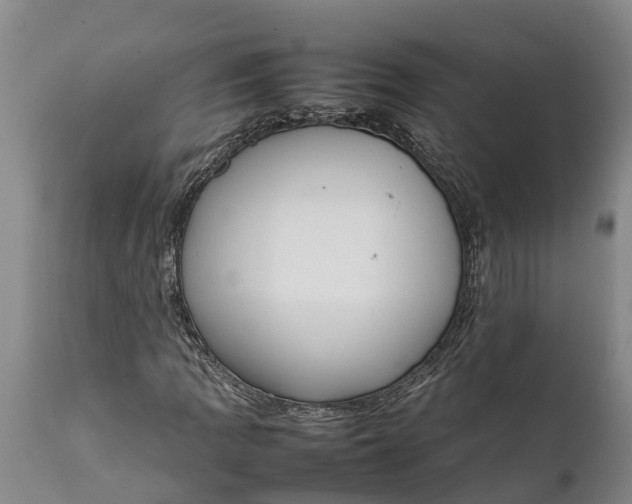 X0000111921109200908171318