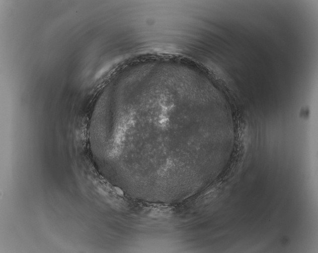 X0000111921110200908171318