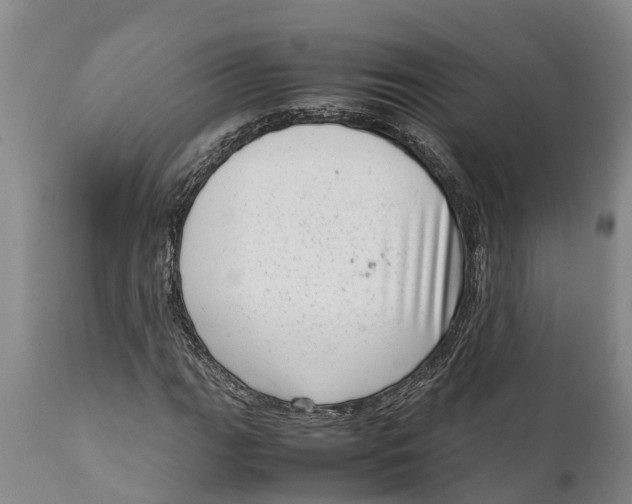 X0000111921111200908171318