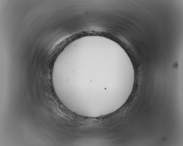 X0000111921112200908171318