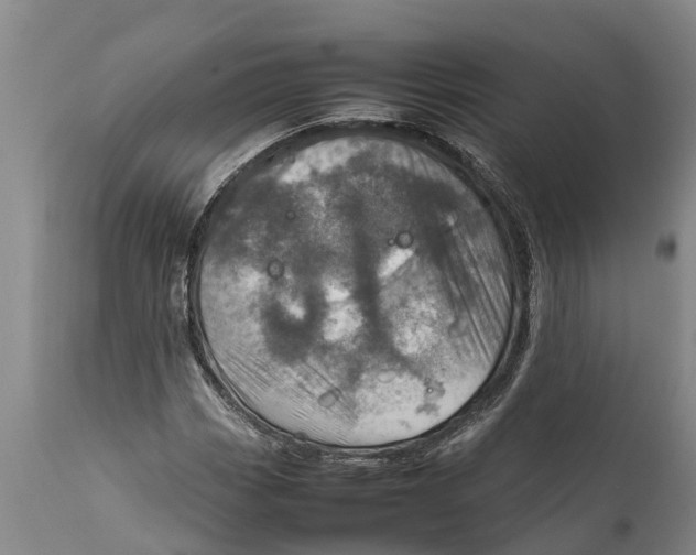 X0000111921113200908171318