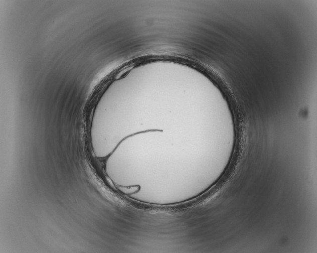 X0000111921114200908171318