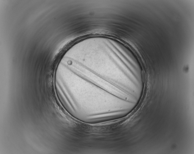 X0000111921115200908171318