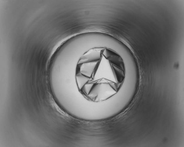 X0000111921116200908171318