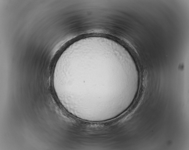 X0000111921117200908171318