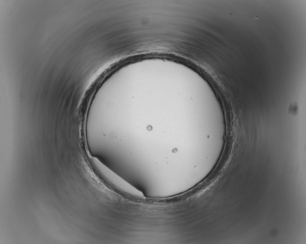 X0000111921118200908171318