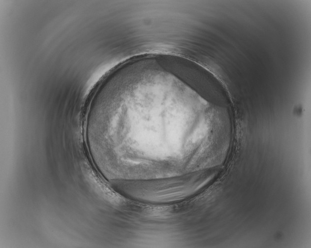 X0000111921120200908171318