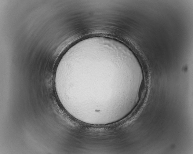 X0000111921121200908171318