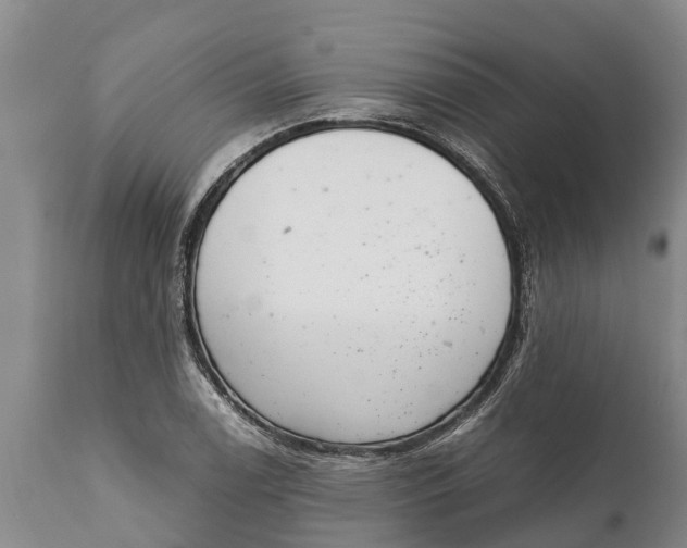 X0000111921122200908171318