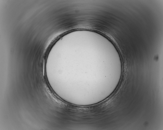 X0000111921123200908171318