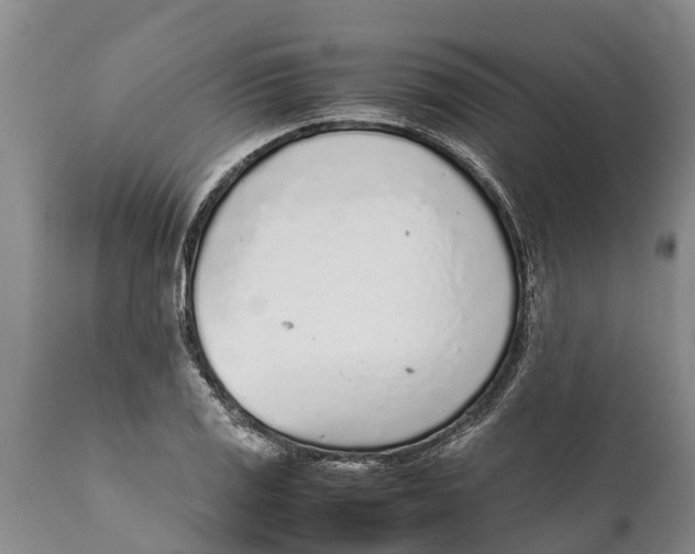 X0000111921125200908171318