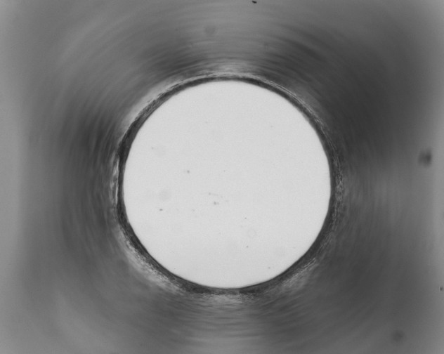 X0000111921126200908171318