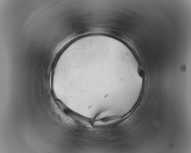 X0000111921127200908171318